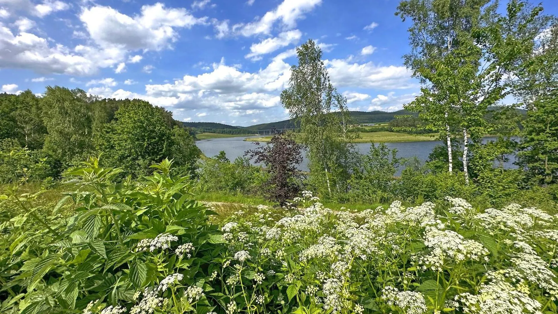 Feriendorf Seeblick - Tiny Chalets Direkt Am See 네운부르그포름발트 펜션